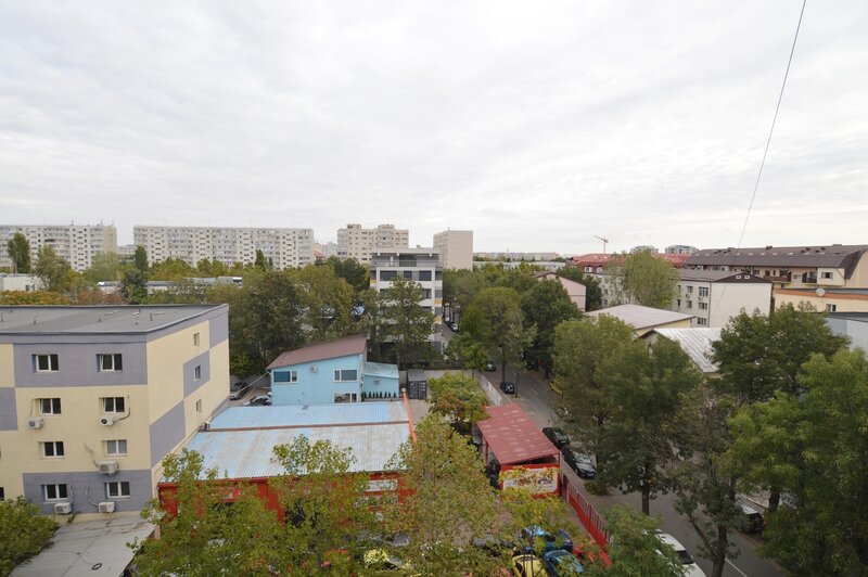 Theodor Pallady, str. Mizil