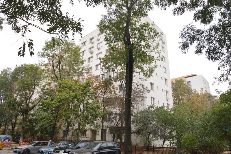 Theodor Pallady, str. Mizil